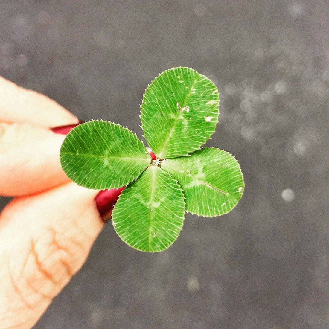 Sustainable Shamrocks: How Eco-Friendly Fashion Is Taking Over Ireland