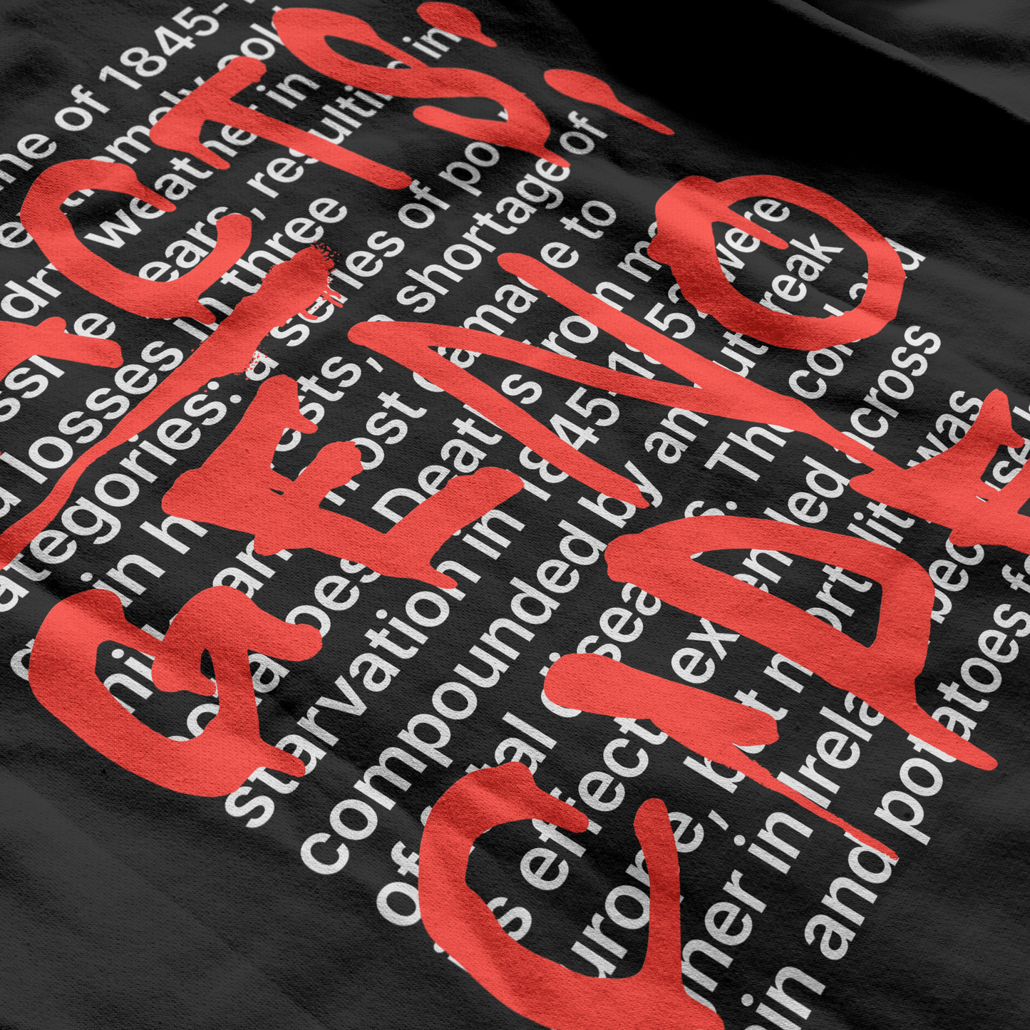 Eirin Apparel Unisex Hoodie Unisex '404: Truth Not Found' Hoodie – Irish Genocide Not Famine Awareness