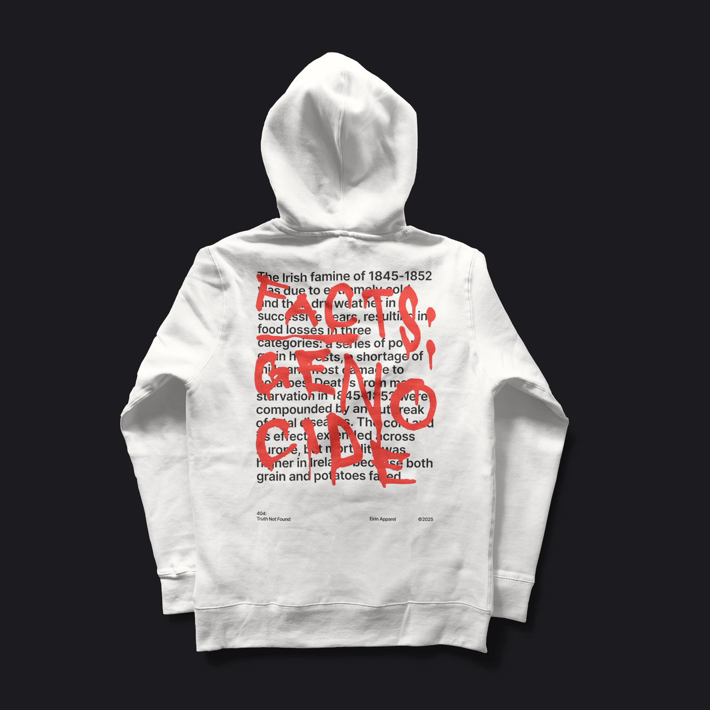 Eirin Apparel Unisex Hoodie Unisex '404: Truth Not Found' Hoodie – Irish Genocide Not Famine Awareness
