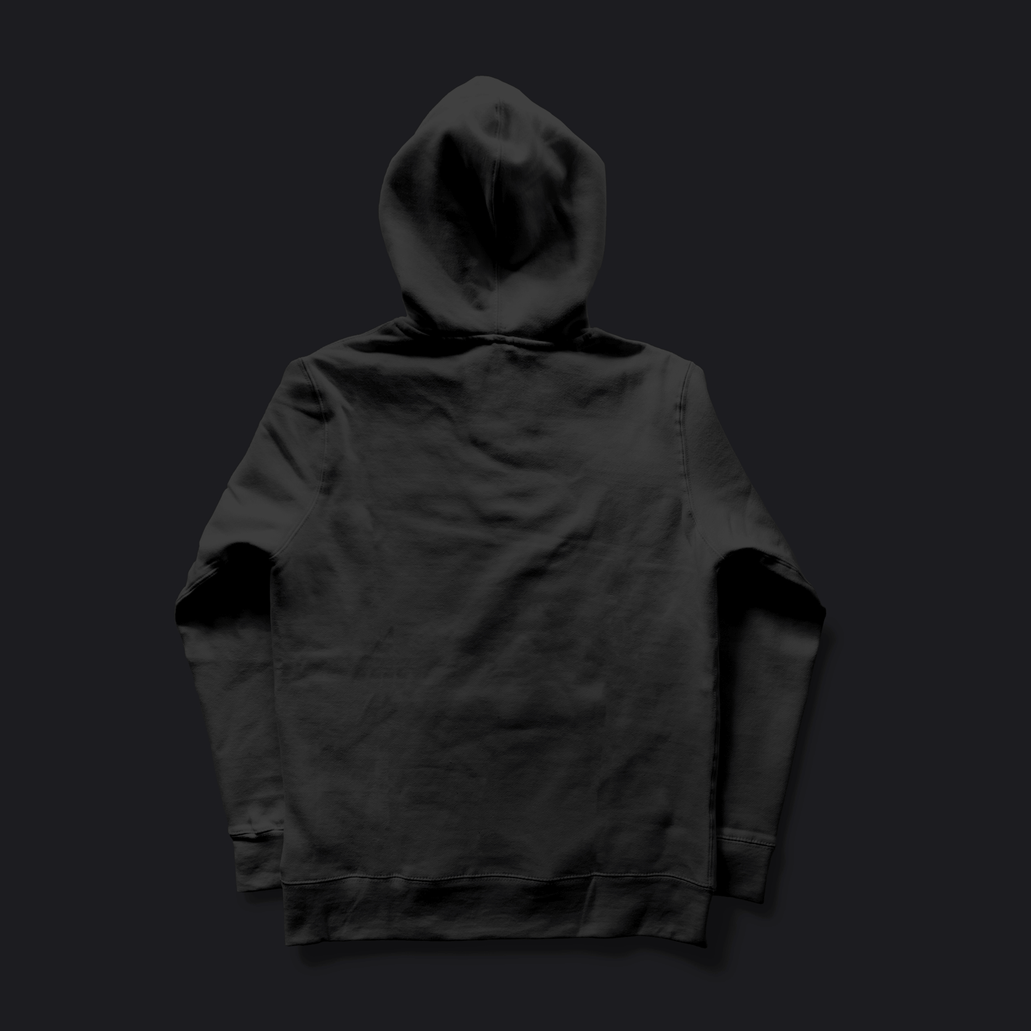 Eirin Apparel Men's Hoodie Unisex 'More Blacks, More Dogs, More Irish' Hoodie