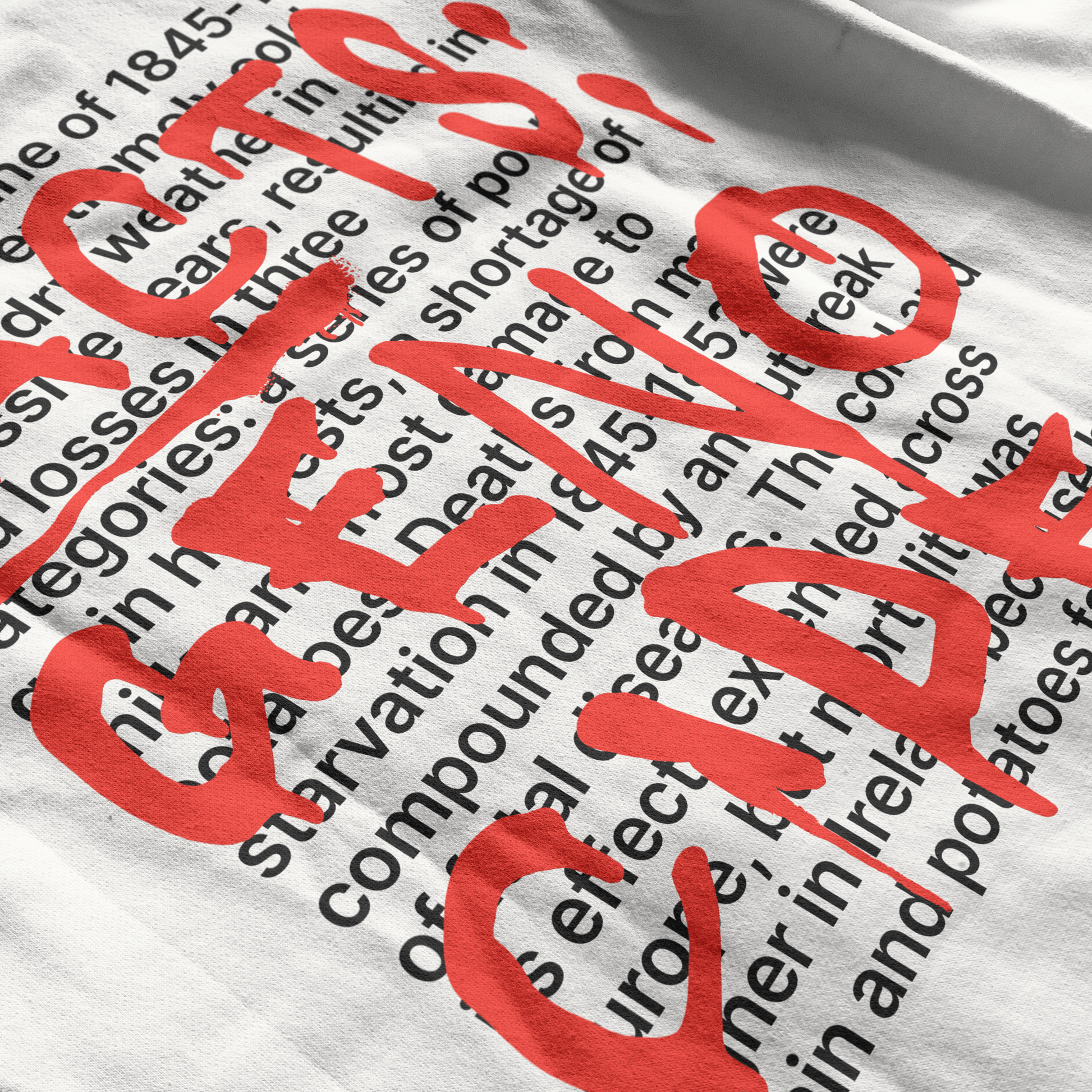 Eirin Apparel Unisex Hoodie Unisex '404: Truth Not Found' Hoodie – Irish Genocide Not Famine Awareness