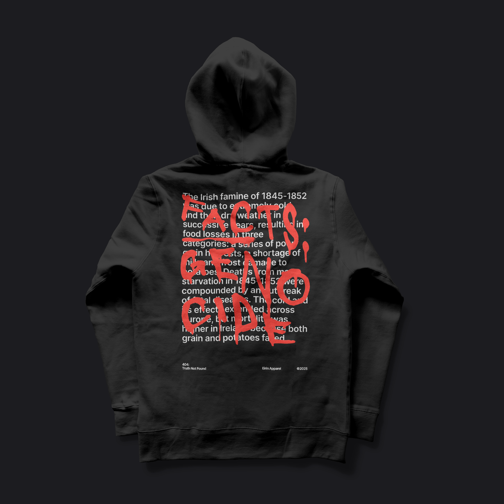 Eirin Apparel Unisex Hoodie Unisex '404: Truth Not Found' Hoodie – Irish Genocide Not Famine Awareness