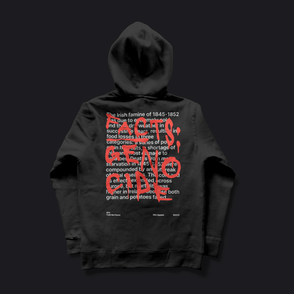 Eirin Apparel Unisex Hoodie Unisex '404: Truth Not Found' Hoodie – Irish Genocide Not Famine Awareness