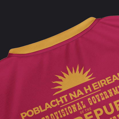 Eirin Apparel Unisex Jersey Eirin 'Irish Republic' Proclamation Jersey – Pink/Gold