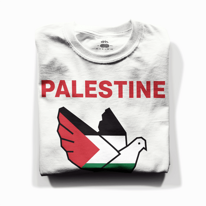 Eirin Apparel Unisex T-Shirt Unisex 'Palestine Lives Matter' Minimalist Print T-Shirt