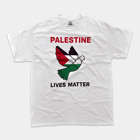 Eirin Apparel Unisex T-Shirt Unisex 'Palestine Lives Matter' Minimalist Print T-Shirt