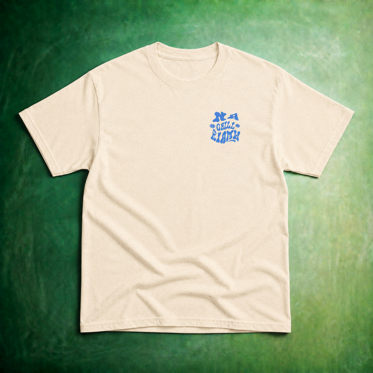 Eirin Apparel Youth T-Shirt Youth 'Never Give Up' T-Shirt (5yrs - 14yrs)